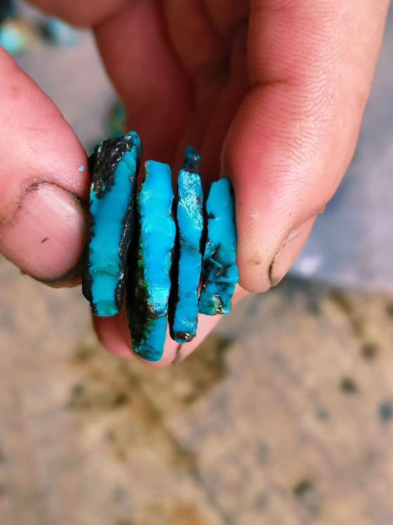 Thin turquoise-bearing sections held between fingers