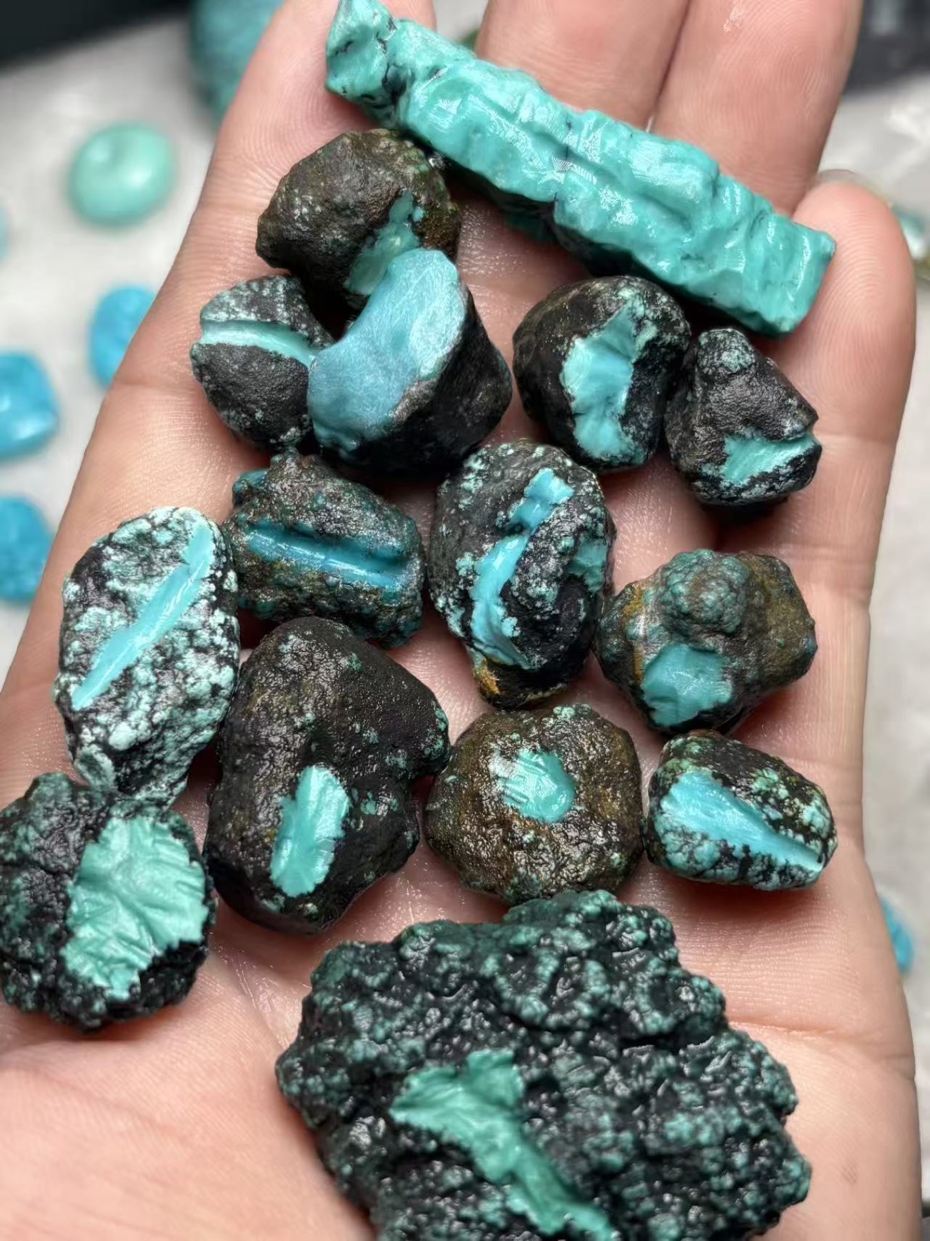 Windowed pieces of turquoise rough resting in a hand